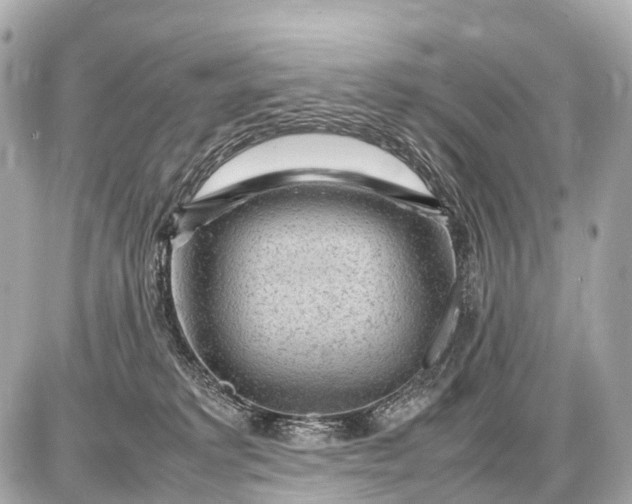 X0000087620229200705120026