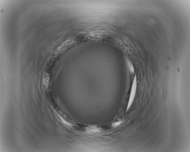 X0000087620231200705120026