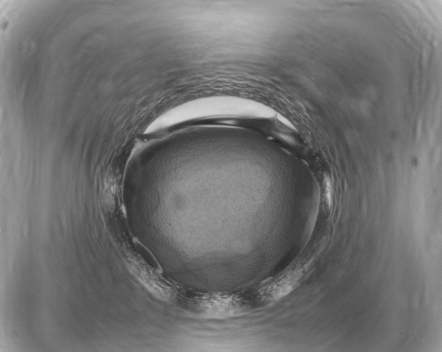 X0000087620235200705120026