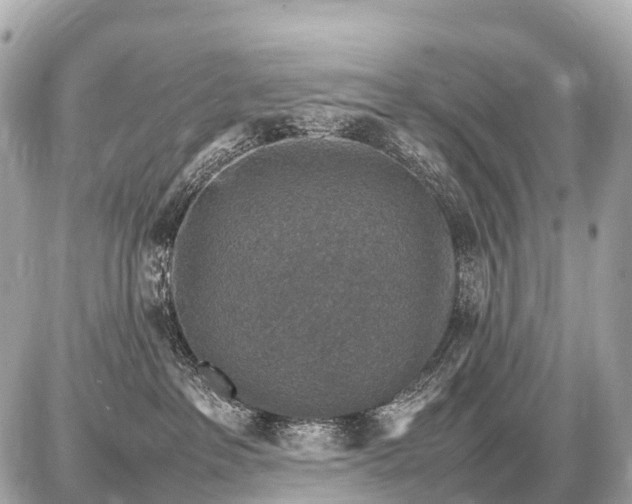 X0000087620237200705120026