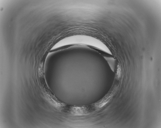 X0000087620239200705120026