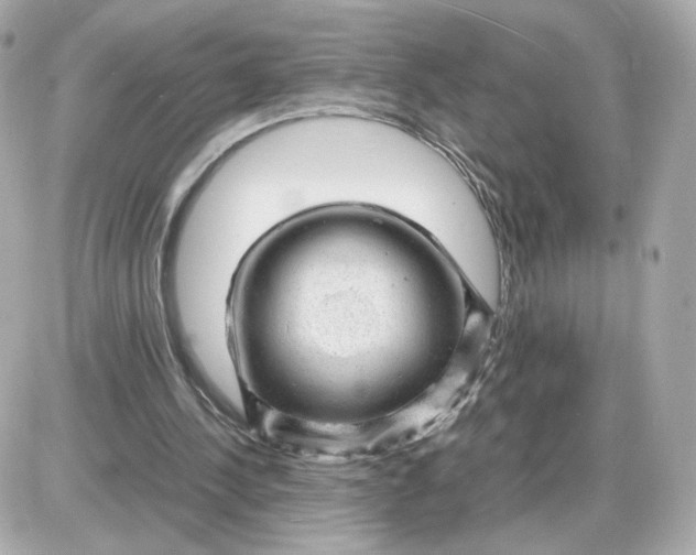 X0000087620244200705120025