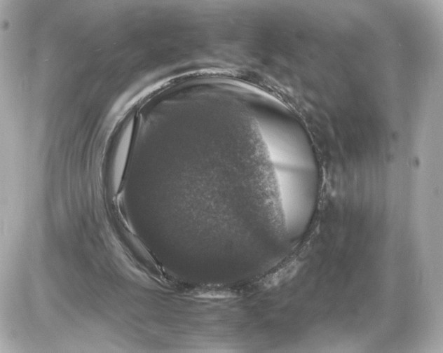 X0000087620247200705120025