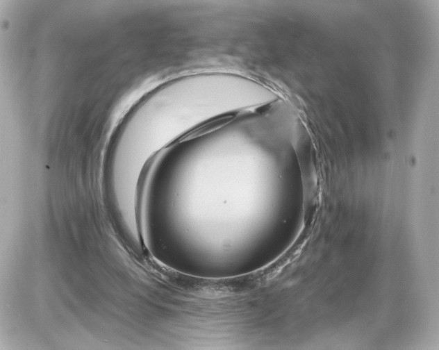 X0000087620248200705120025