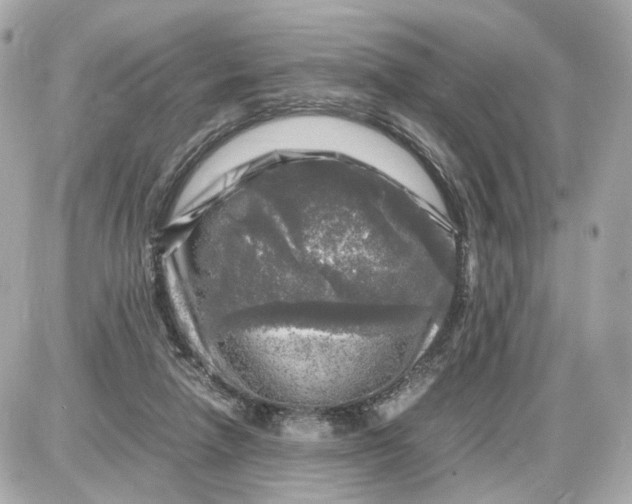 X0000087620258200705120025