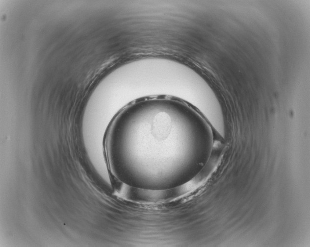 X0000087620264200705120026