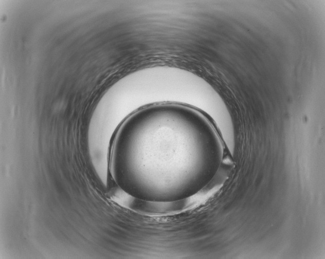 X0000087620276200705120026