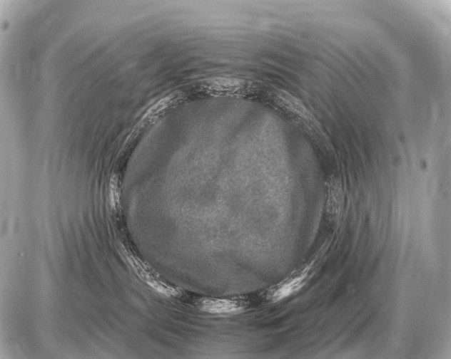 X0000087620287200705120026