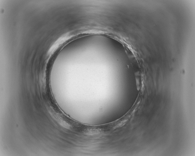X0000087620296200705120025