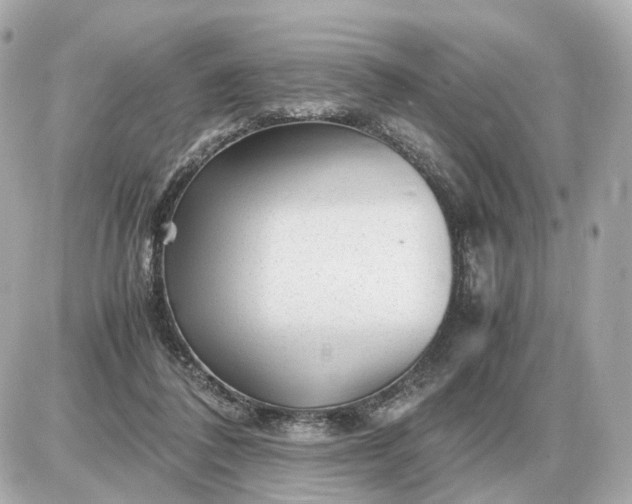 X0000087620308200705120025