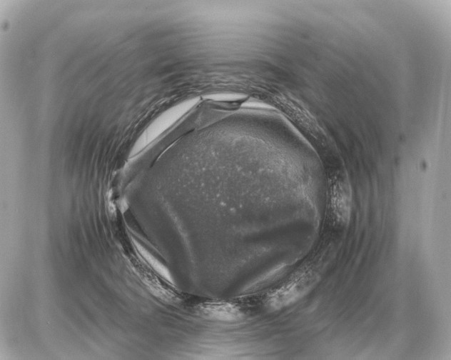X0000087620322200705120025