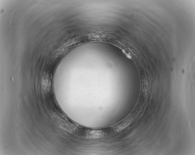 X0000087620324200705120025