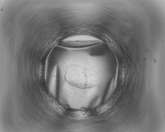 X0000087620326200705120025