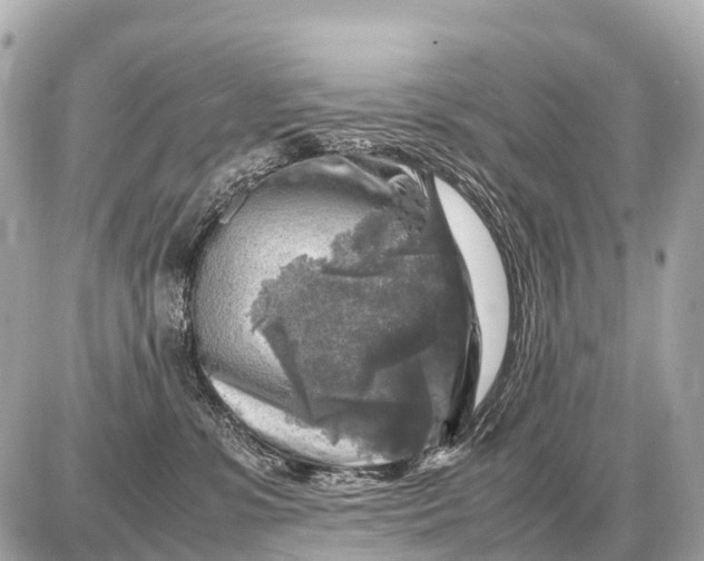 X0000087620331200705120024