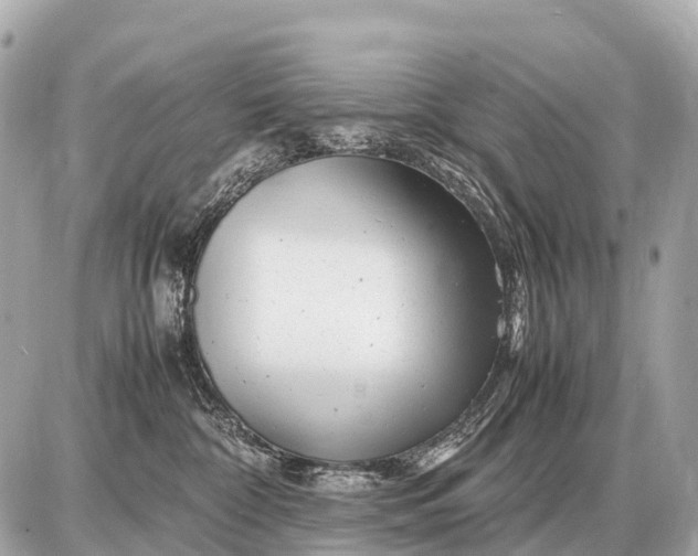 X0000087620332200705120024