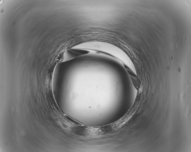 X0000087620333200705120024