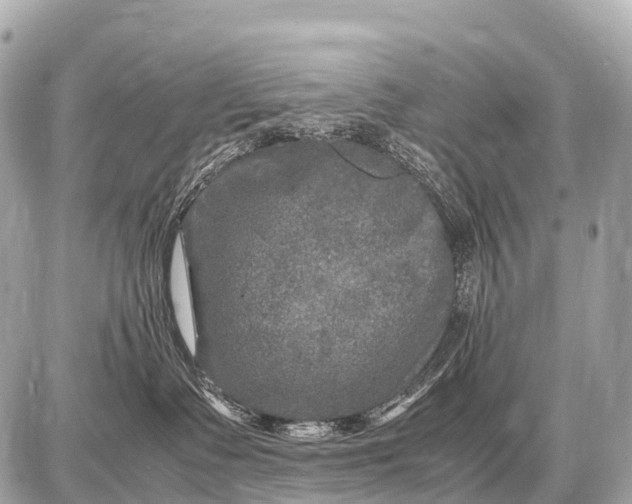 X0000087620335200705120024