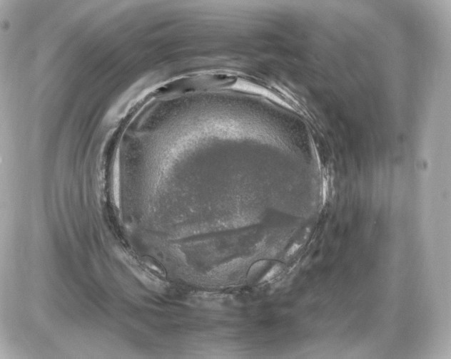 X0000087620339200705120024
