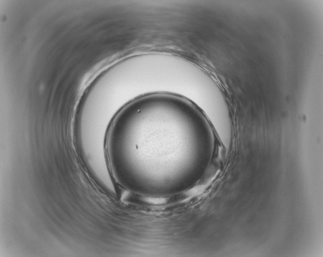 X0000087620340200705120024