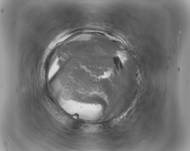 X0000087620343200705120024