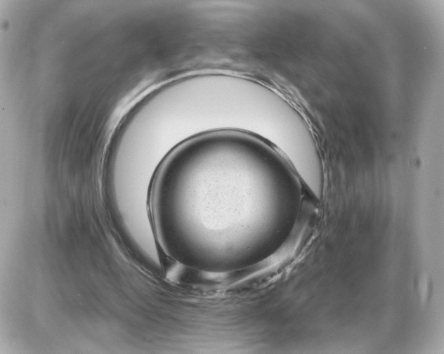 X0000087620344200705120024