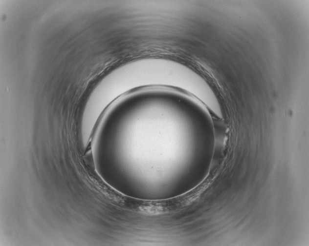 X0000087620362200705120024