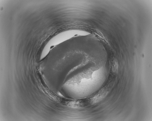 X0000087620366200705120024