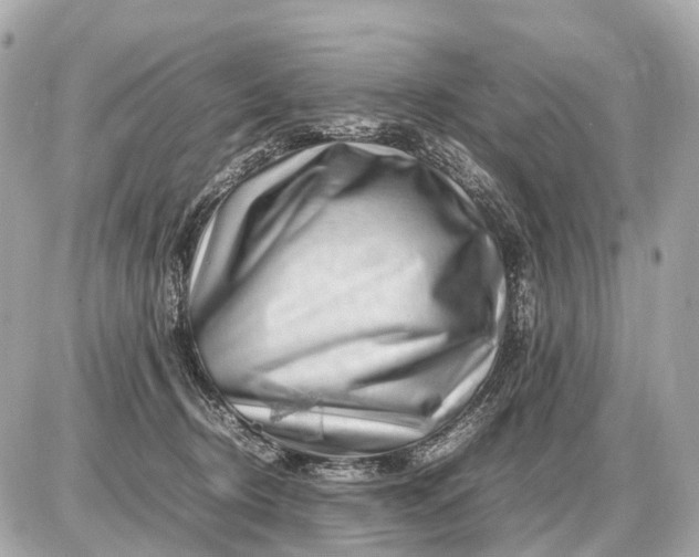 X0000087620370200705120024