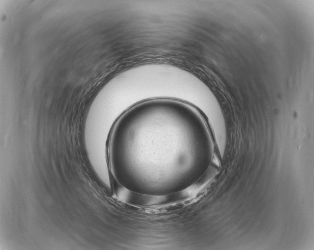 X0000087620372200705120024