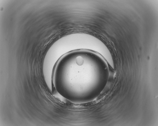 X0000087620376200705120024