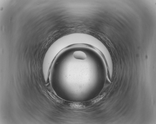 X0000087620380200705120024