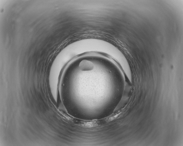 X0000087620382200705120024