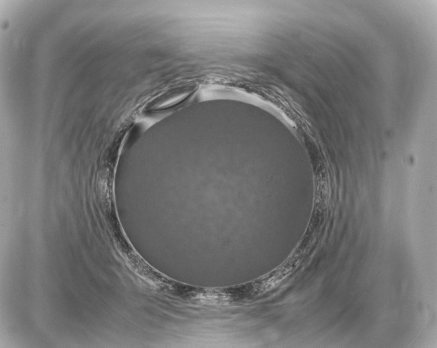 X0000087620415200705120023