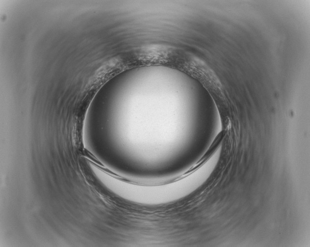 X0000087620416200705120023