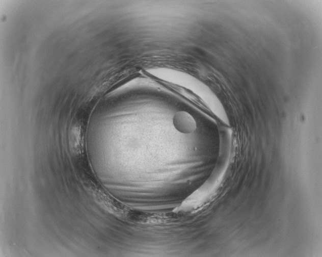 X0000087620420200705120023
