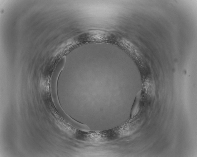 X0000087620423200705120023
