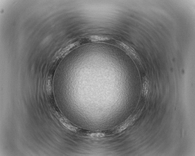 X0000087620426200705120023