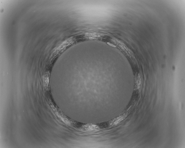 X0000087620427200705120023