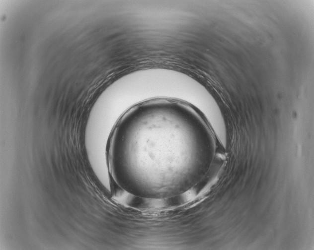 X0000087620428200705120023