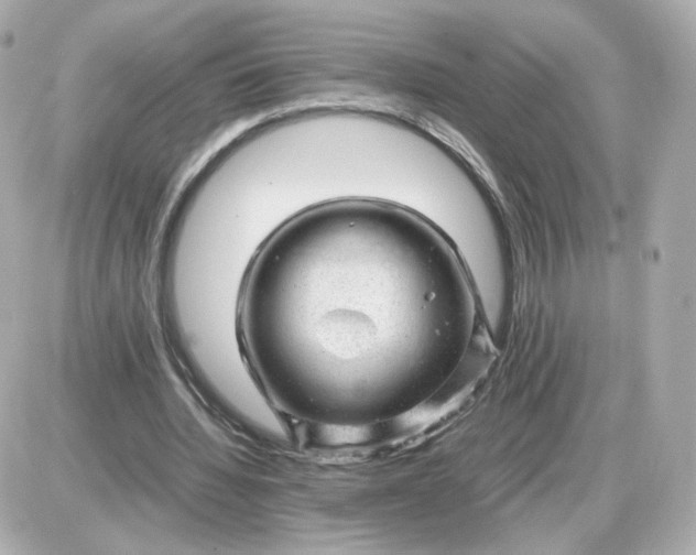 X0000087620436200705120022