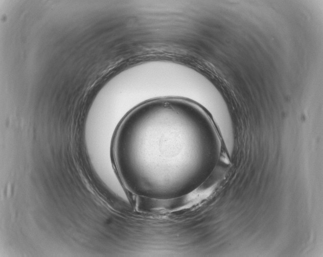 X0000087620456200705120022