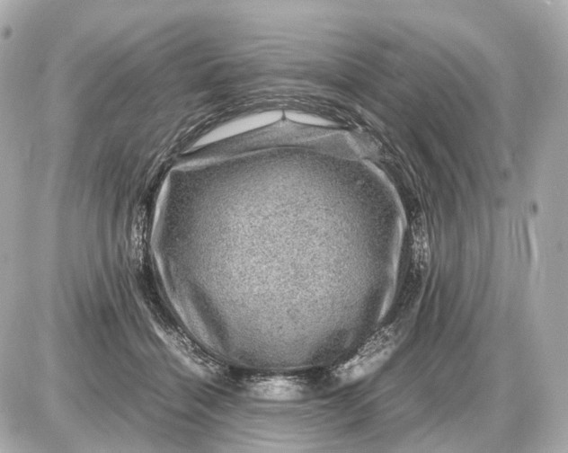 X0000087620460200705120022