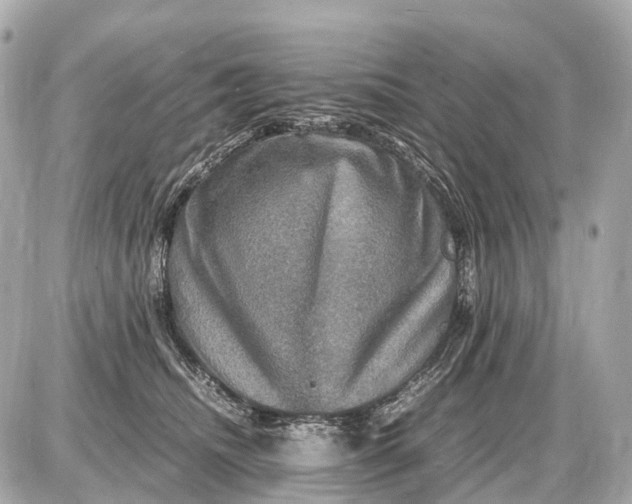X0000087620468200705120023