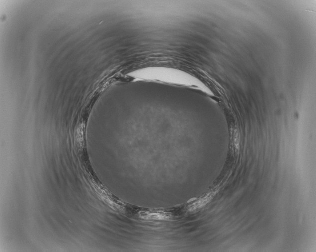 X0000087620475200705120023