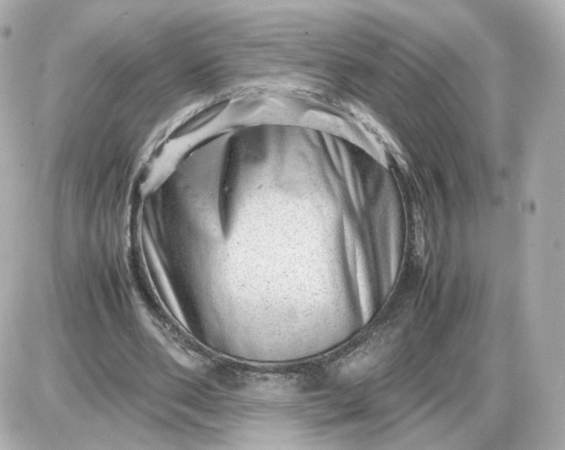X0000087620486200705120022