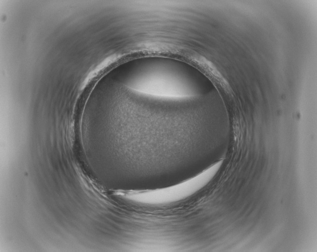 X0000087620488200705120022