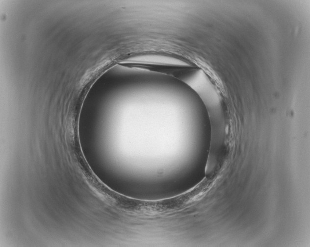 X0000087620489200705120022