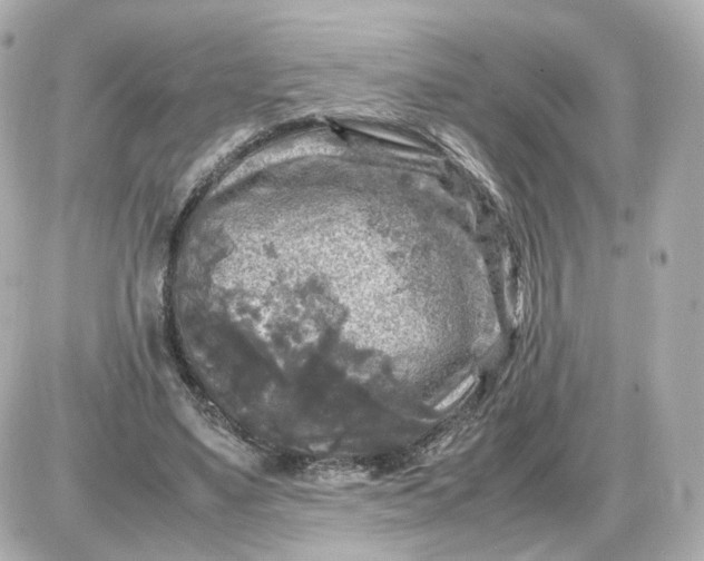 X0000087620491200705120022