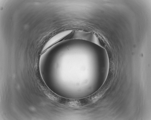 X0000087620505200705120022