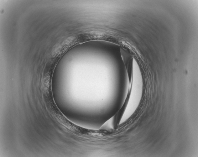 X0000087620509200705120022